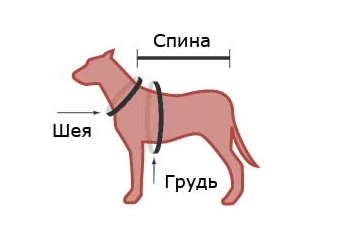 Размеры комбинезонов «DOGGS» для средних и крупных пород собак