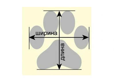 Размеры сапожек