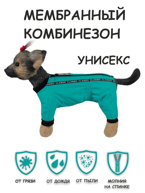 Дождевик "Мартин" унисекс(голубой)