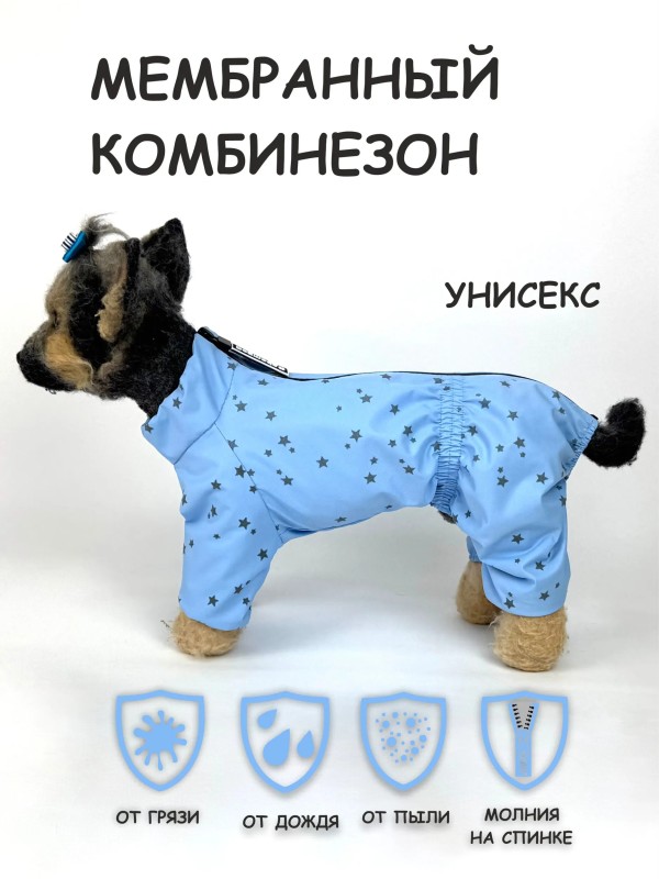 Дождевик "Звездочки" голубой унисекс