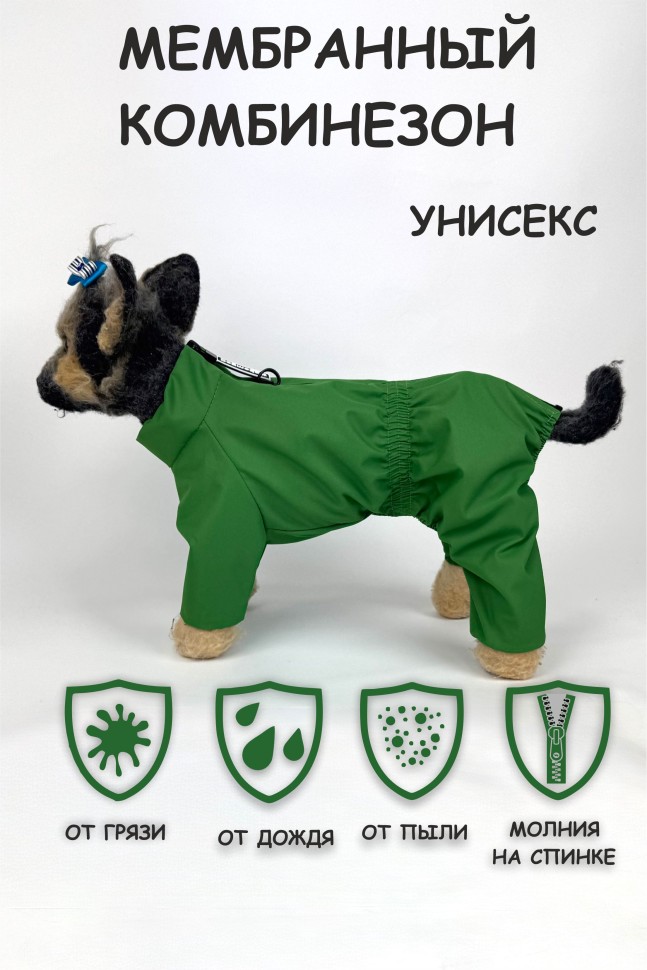 Мембранный дождевик "Color" (зеленый)