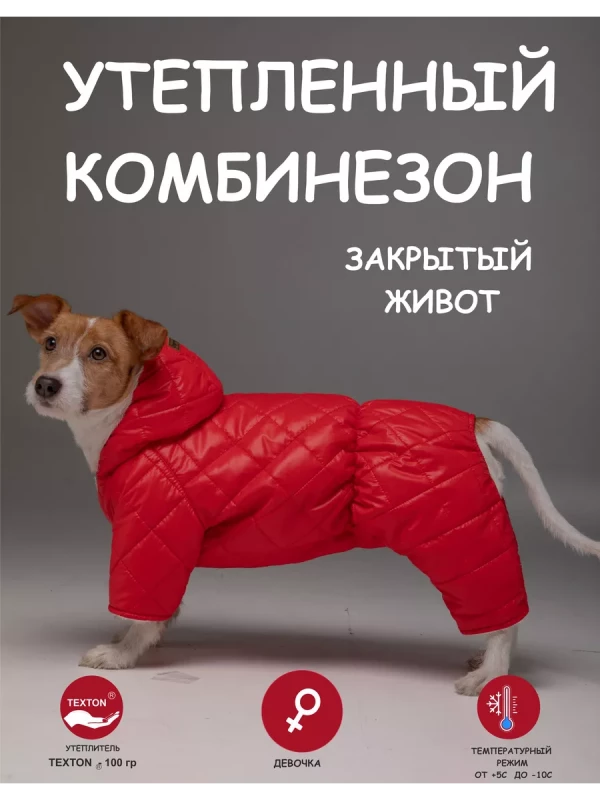 Комбинезон стеганный (красный) девочка