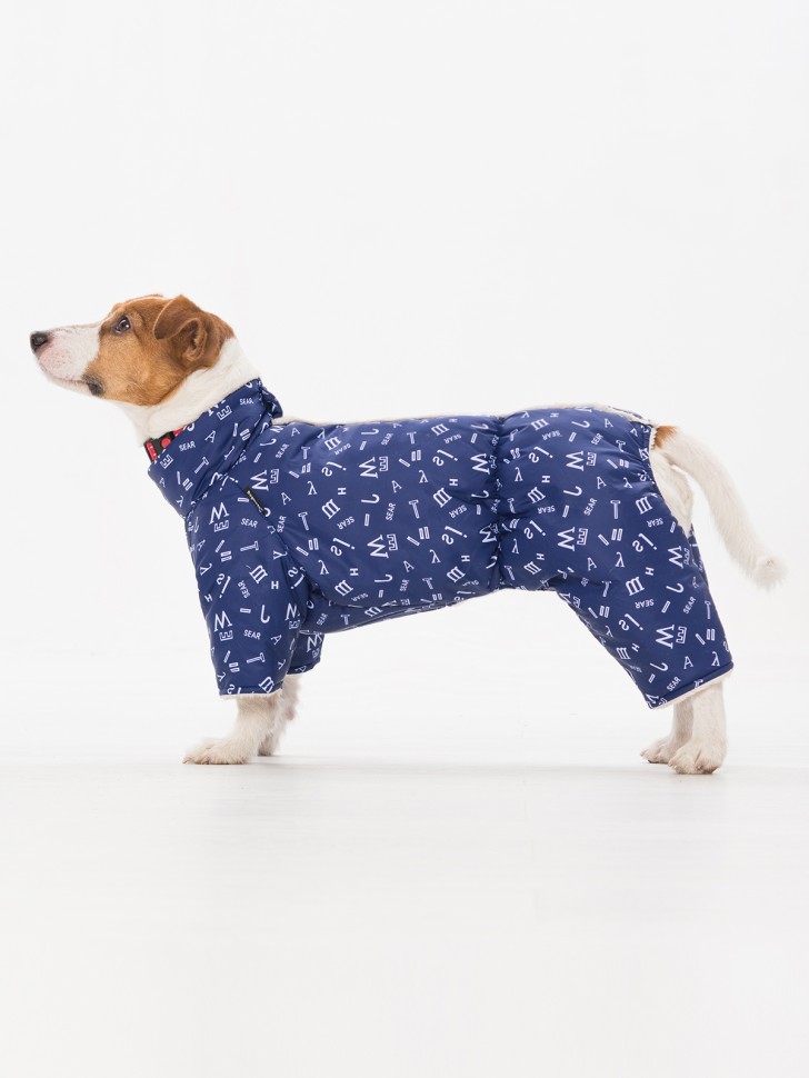 Комбинезон "Буквы" с кнопками сверху (синий) Комбинезон "Буквы" с кнопками сверху (синий)